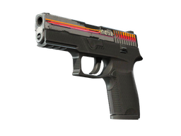 StatTrak™ P250 | Cassette