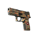 P250 | Red Rock (Battle-Scarred)