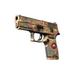 P250 | Red Rock (Factory New)