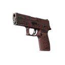 StatTrak™ P250 | Contaminant (Field-Tested)