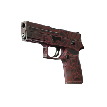 P250 | Contaminant (Well-Worn)