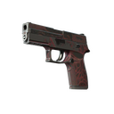 StatTrak™ P250 | Contaminant (Battle-Scarred)