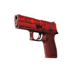 P250 | Muertos (Battle-Scarred)