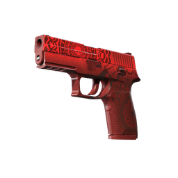 StatTrak™ P250 | Muertos (Field-Tested)