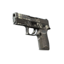 StatTrak™ P250 | Re.built (Battle-Scarred)