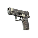 StatTrak™ P250 | Re.built (Well-Worn)