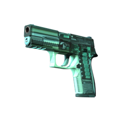 P250 | X-Ray (Minimal Wear)