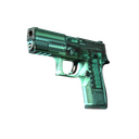 StatTrak™ P250 | X-Ray (Field-Tested)