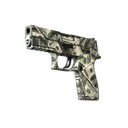 P250 | Franklin (Field-Tested)