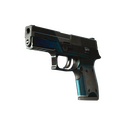 P250 | Valence (Battle-Scarred)