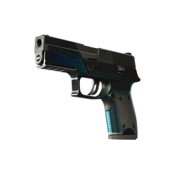 StatTrak™ P250 | Valence (Battle-Scarred)