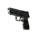 P250 | Cartel (Well-Worn)