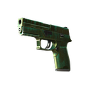 P250 | Verdigris (Battle-Scarred)