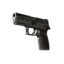 P250 | Dark Filigree (Battle-Scarred)