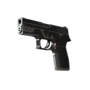 P250 | Dark Filigree (Field-Tested)