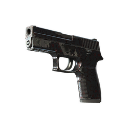 P250 | Dark Filigree (Field-Tested)