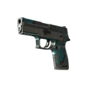 P250 | Ripple (Battle-Scarred)
