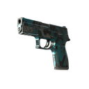 P250 | Ripple (Well-Worn)