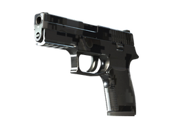 P250 | Metallic DDPAT (Factory New)