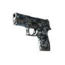 StatTrak™ P250 | Steel Disruption (Field-Tested)