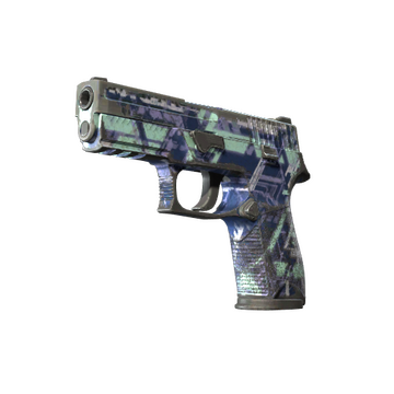 P250 | Digital Architect (Battle-Scarred)