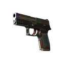P250 | Cyber Shell (Well-Worn)