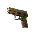 P250 | Inferno (Field-Tested)
