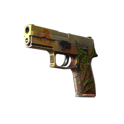 StatTrak™ P250 | Inferno (Well-Worn)