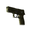 P250 | Iron Clad (Battle-Scarred)