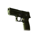 P250 | Iron Clad (Well-Worn)