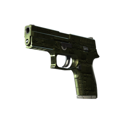 StatTrak™ P250 | Iron Clad (Field-Tested)