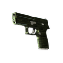 P250 | Iron Clad (Minimal Wear)