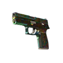 StatTrak™ P250 | Visions (Battle-Scarred)