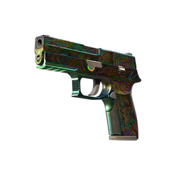 StatTrak™ P250 | Visions (Battle-Scarred)