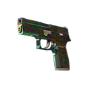 P250 | Visions (Well-Worn)