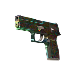 StatTrak™ P250 | Visions (Field-Tested)