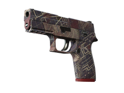 P250 | Facility Draft (Minimal Wear)