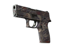 P250 | Facility Draft (Field-Tested)