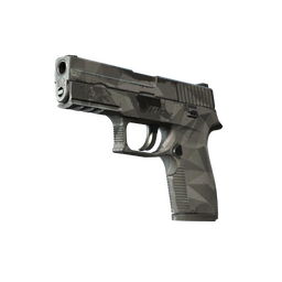 P250 | Facets (Field-Tested)
