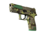 P250