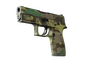 Souvenir P250 | Boreal Forest