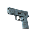P250 | Forest Night (Minimal Wear)