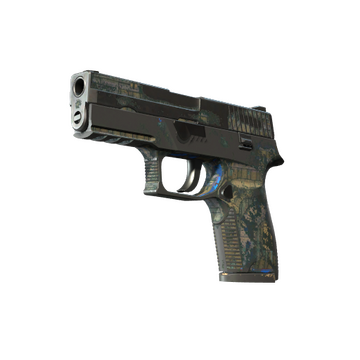 P250 | Exchanger (Battle-Scarred)
