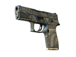 P250 | Exchanger