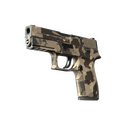 Souvenir P250 | Black & Tan (Well-Worn)