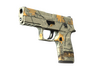 P250