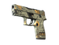 P250 | Modern Hunter