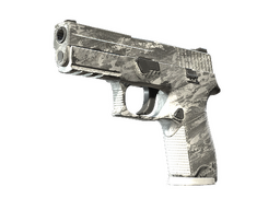 P250 | Sleet (Field-Tested)