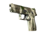 P250
