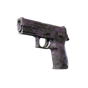 P250 | Plum Netting (Field-Tested)